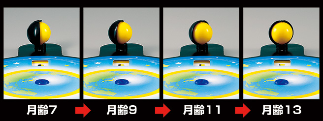 地球から見た月と太陽の位置関係が変わると、月の形も刻々と変化する